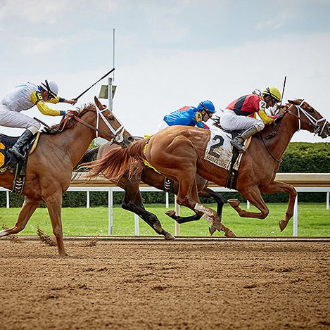 The Kentucky Derby 2019