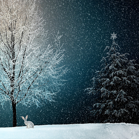 Let The Countdown To Christmas Begin