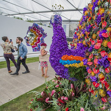 Harvie & Hudson's Practical style guide for the Chelsea Flower Show