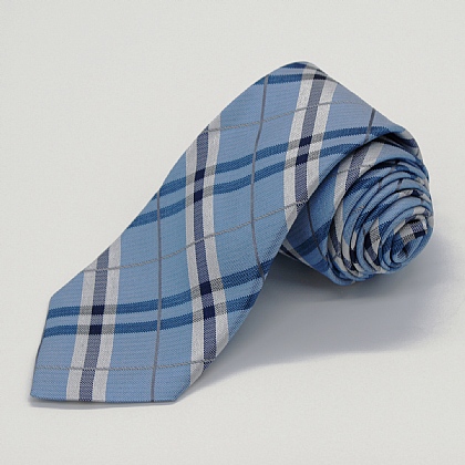 Blue Check Woven Silk Tie