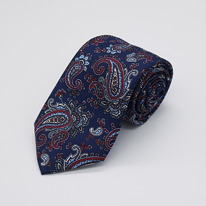 Navy and Red Paisley Printed Silk Tie