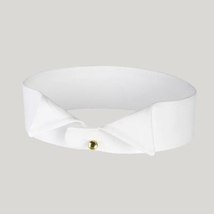 Stiff Wing Collar
